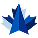 BluMaple Capital Partners Logo